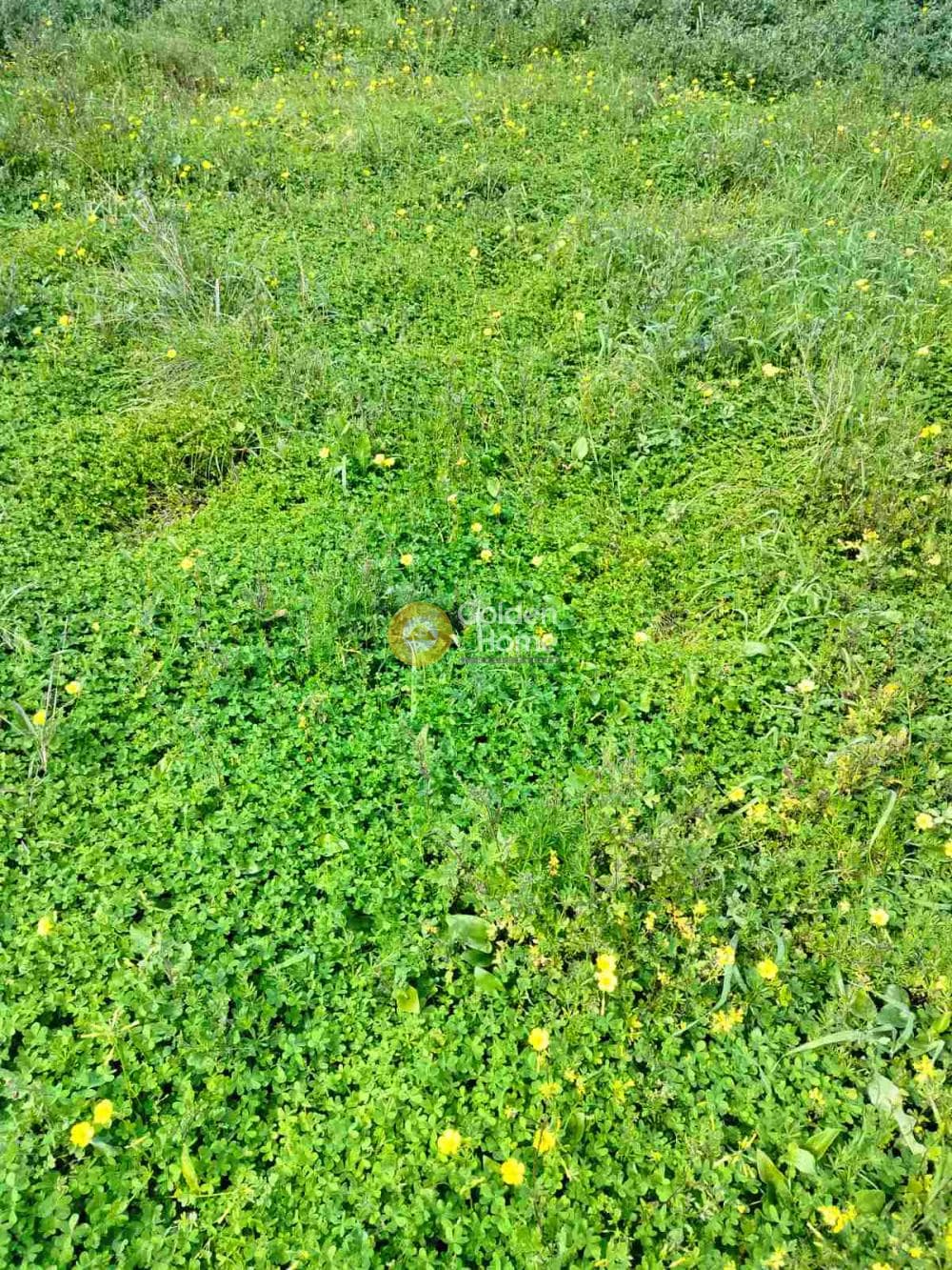 Building Plot in Rodia, Gazi — Photo 2 of 4