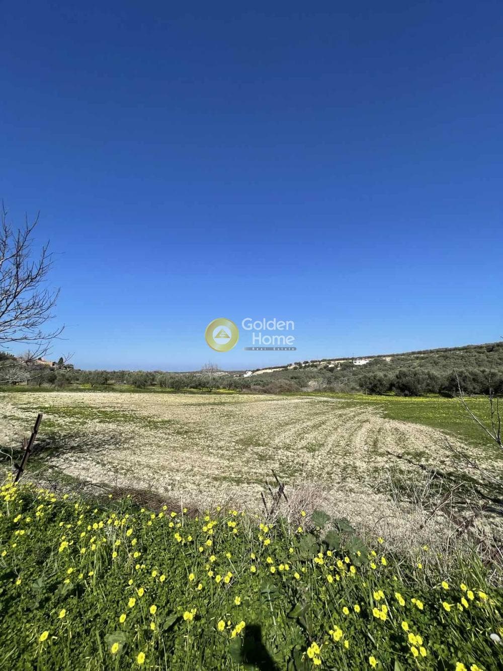 Building Plot in Epano Vatheia, Episkopi
