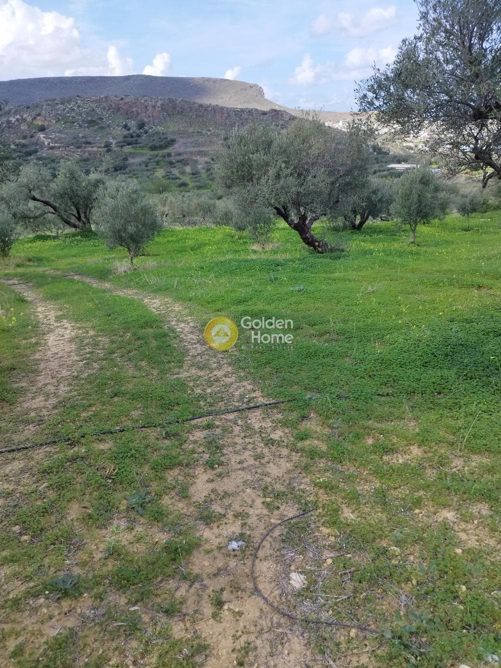 Οικόπεδο στην Γούρνες, Γούβες — Φωτογραφία 1 από 4