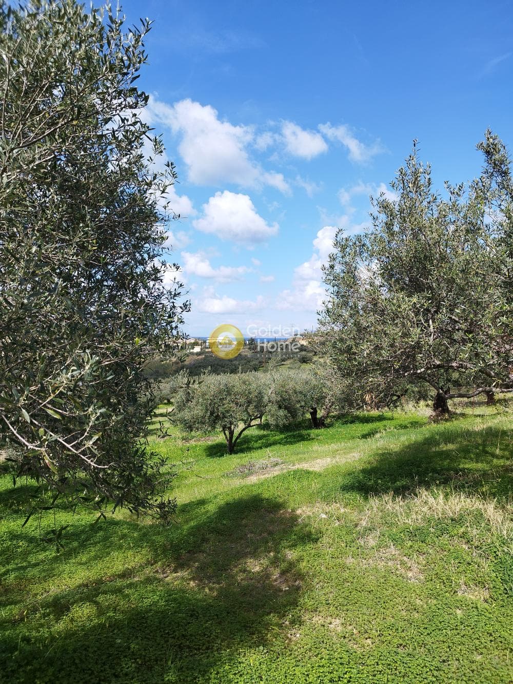 Οικόπεδο στην Γούρνες, Γούβες — Φωτογραφία 3 από 4
