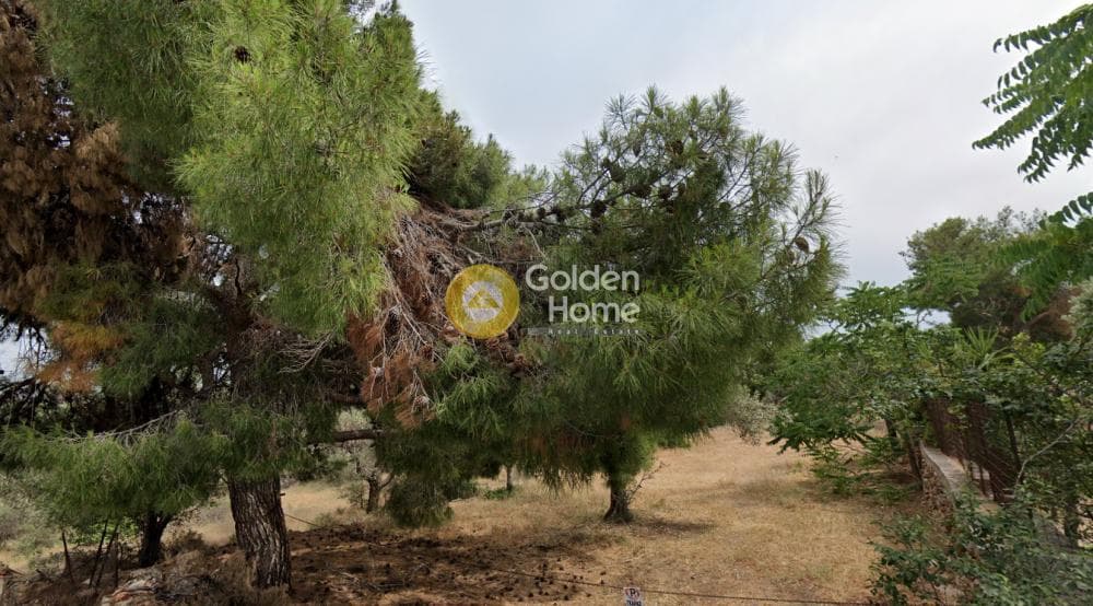 Building Plot in Centre, Glika Nera