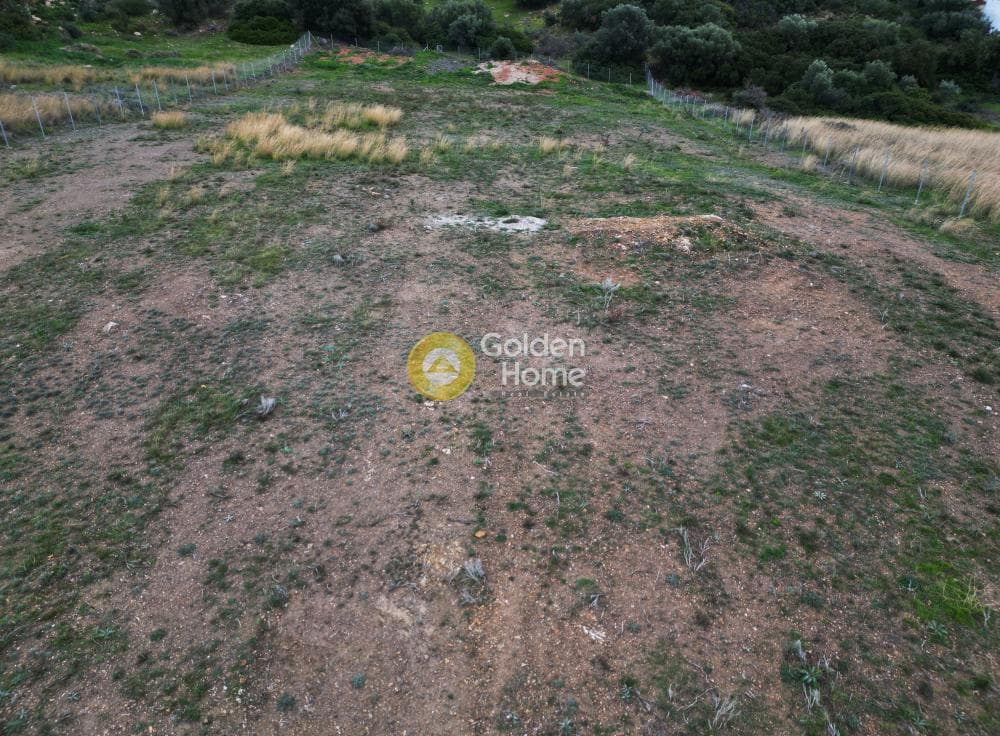 Αγροτεμάχιο στην Καλύβια, Αρκαλοχώρι — Φωτογραφία 7 από 7