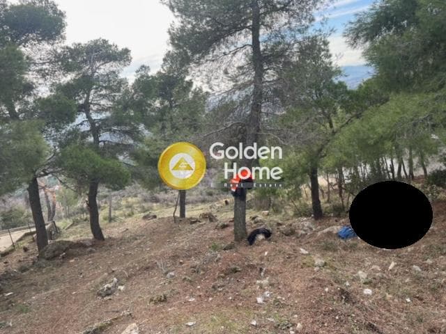 Οικόπεδο στην Μεγάλα Σχοινία Α, Αχαρνές — Φωτογραφία 1 από 2