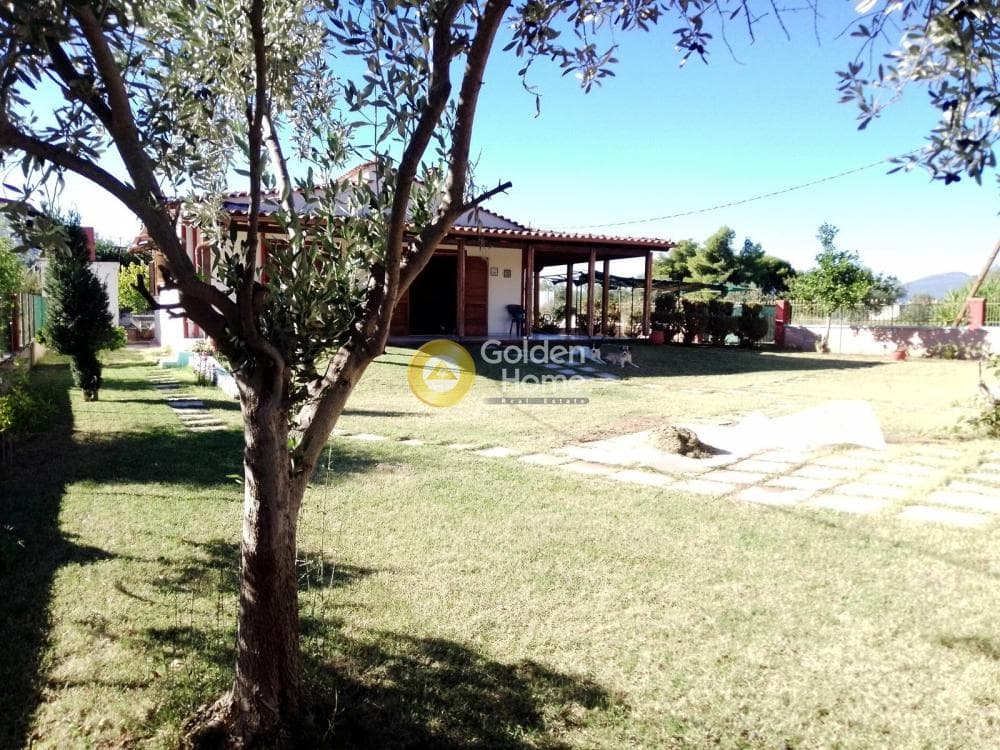House in Center, Schimatari — Photo 17 of 19