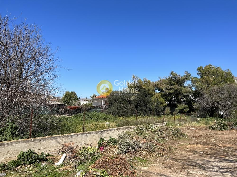 Building Plot in Kalivia, Kalivia Thorikou — Photo 6 of 8