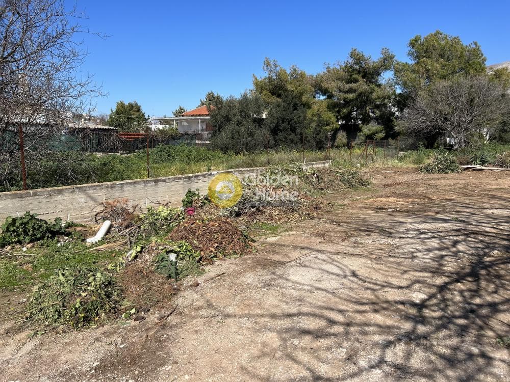 Building Plot in Kalivia, Kalivia Thorikou — Photo 5 of 8