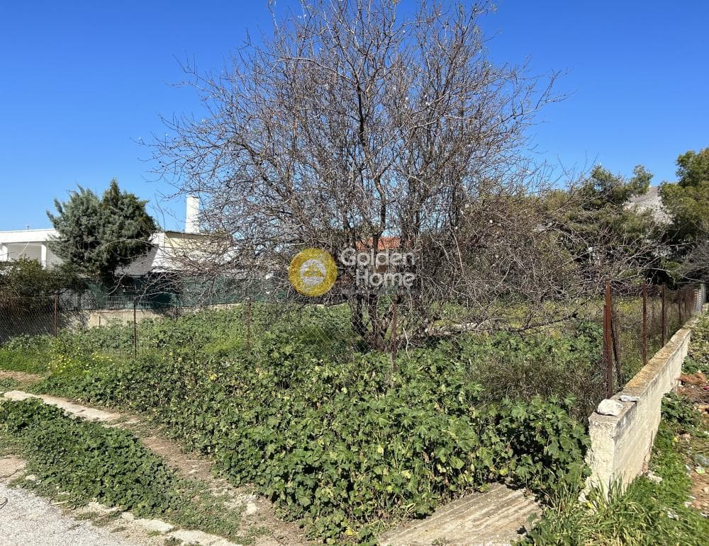 Building Plot in Kalivia, Kalivia Thorikou — Photo 4 of 8