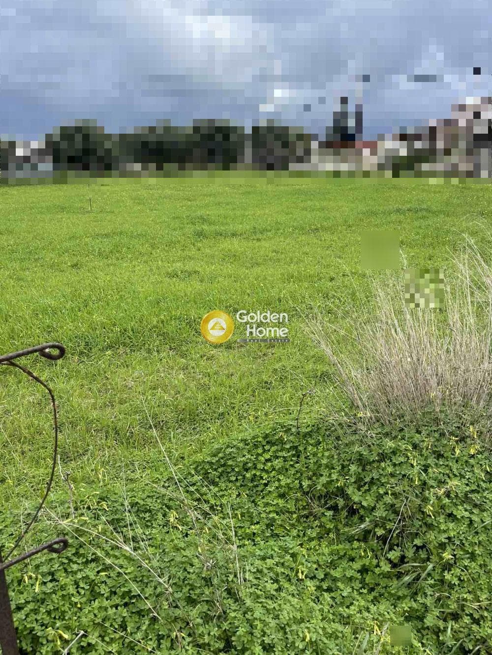 Building Plot in Elia, Episkopi