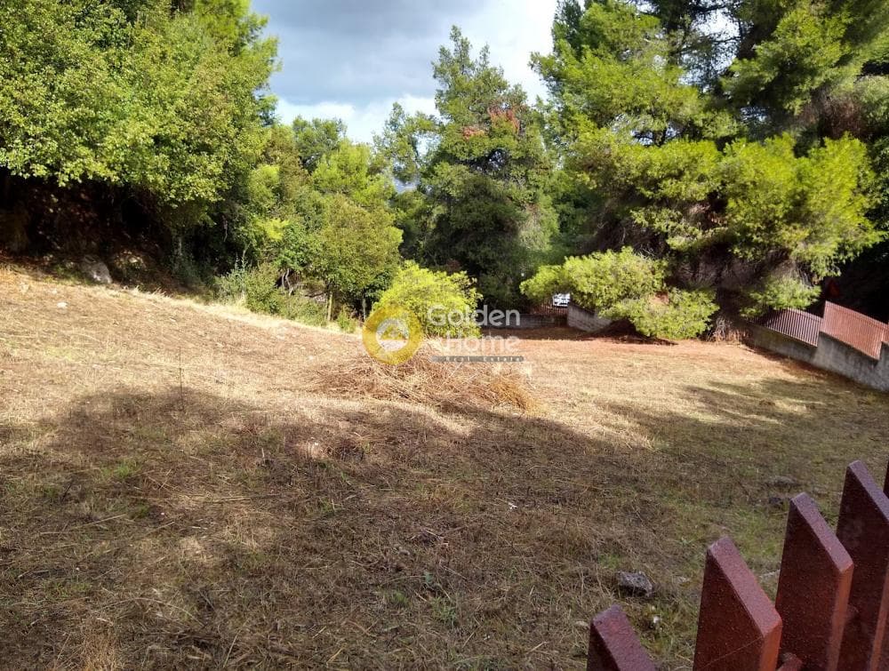 Parcel in Kokkinovrachos, Afidnes — Photo 5 of 13