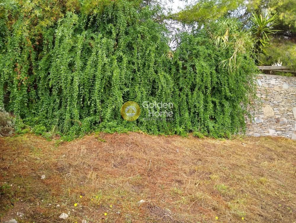 Parcel in Kokkinovrachos, Afidnes — Photo 4 of 13