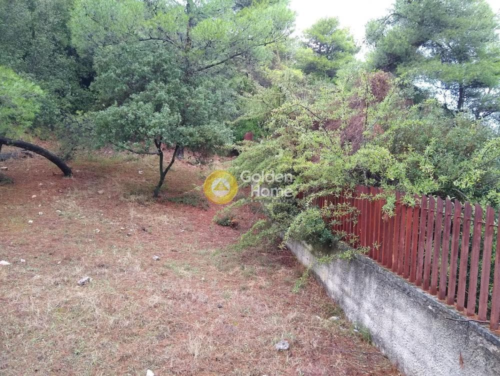 Parcel in Kokkinovrachos, Afidnes — Photo 6 of 13