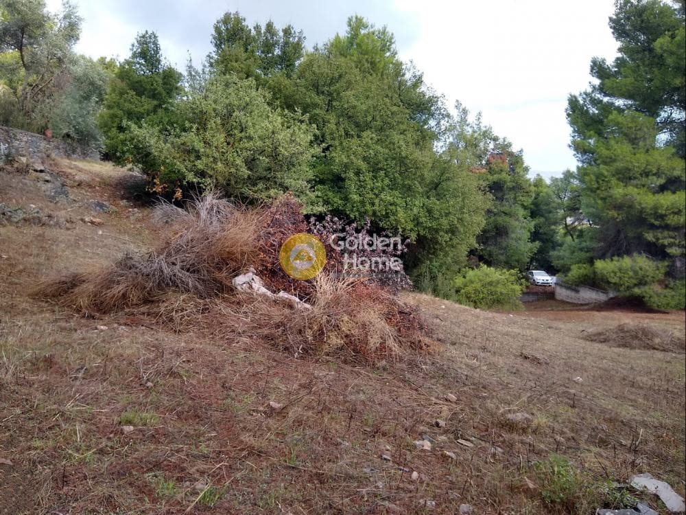 Parcel in Kokkinovrachos, Afidnes — Photo 7 of 13