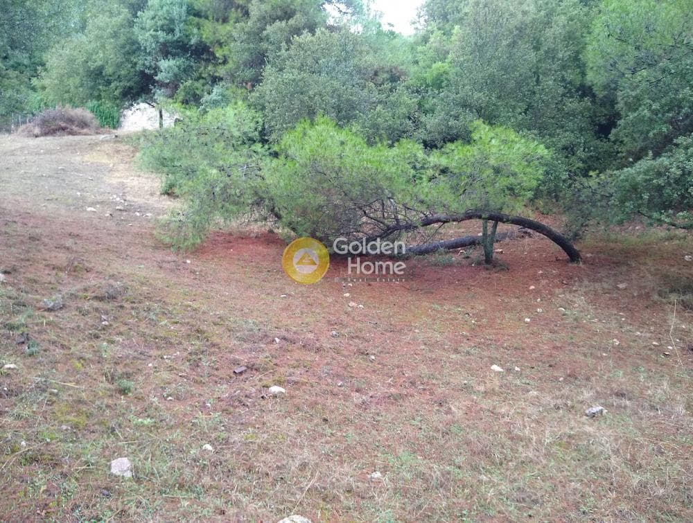 Parcel in Kokkinovrachos, Afidnes — Photo 1 of 13