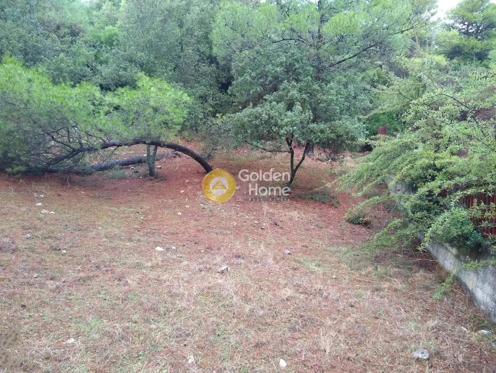 Parcel in Kokkinovrachos, Afidnes — Photo 13 of 13