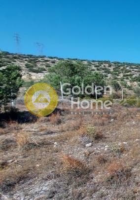 Αγροτεμάχιο στην Λαμπρικά, Κορωπί — Φωτογραφία 4 από 4