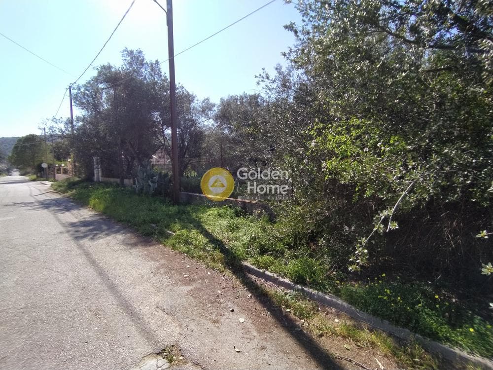 Building Plot in Selinia, Salamina — Photo 8 of 8