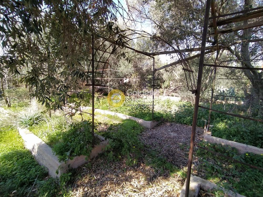 Building Plot in Selinia, Salamina — Photo 1 of 8