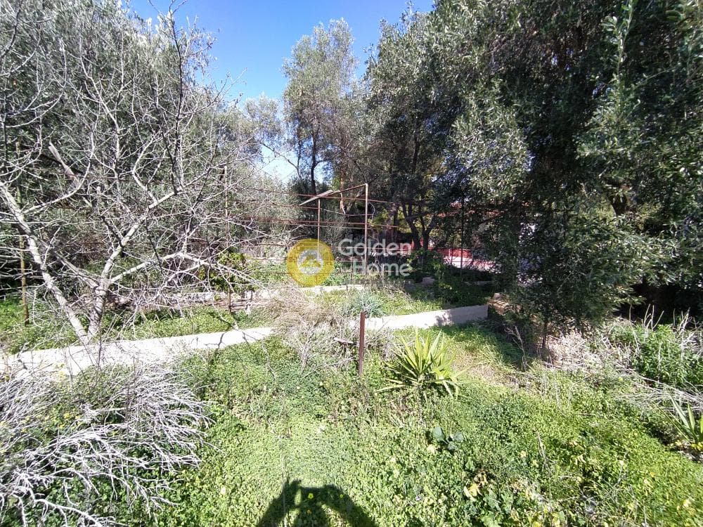 Building Plot in Selinia, Salamina — Photo 2 of 8