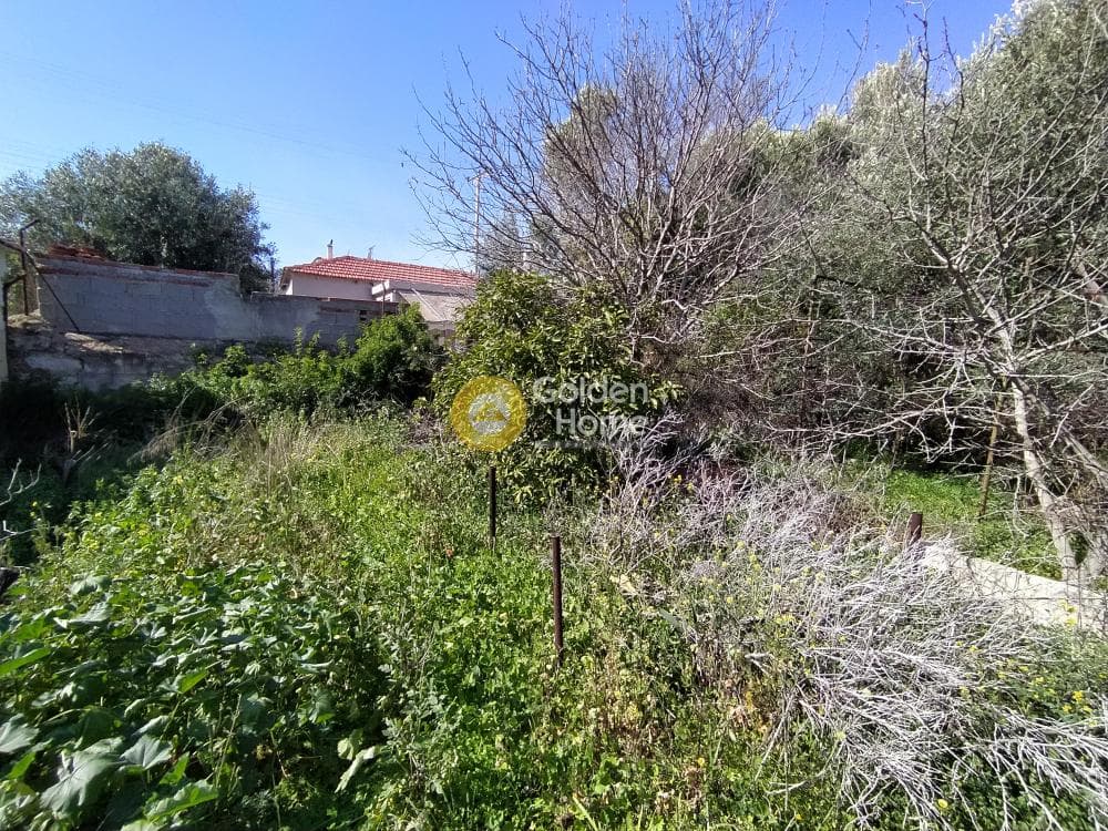 Building Plot in Selinia, Salamina — Photo 3 of 8