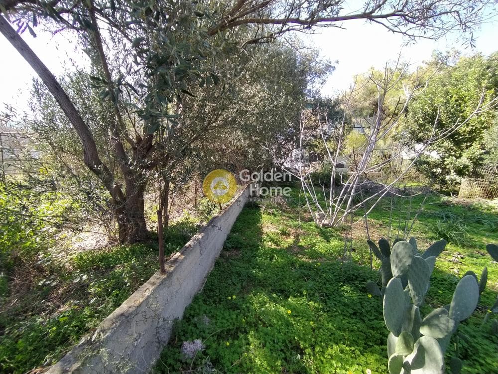 Building Plot in Selinia, Salamina — Photo 4 of 8