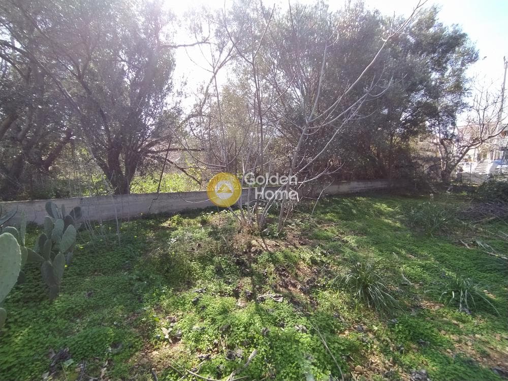 Building Plot in Selinia, Salamina — Photo 5 of 8