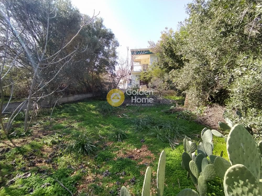 Building Plot in Selinia, Salamina — Photo 7 of 8