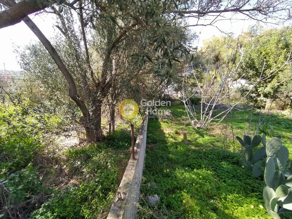 Building Plot in Selinia, Salamina — Photo 6 of 8