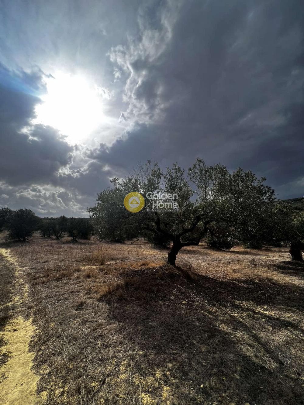 Parcel in Epano Vatheia, Episkopi — Photo 2 of 25