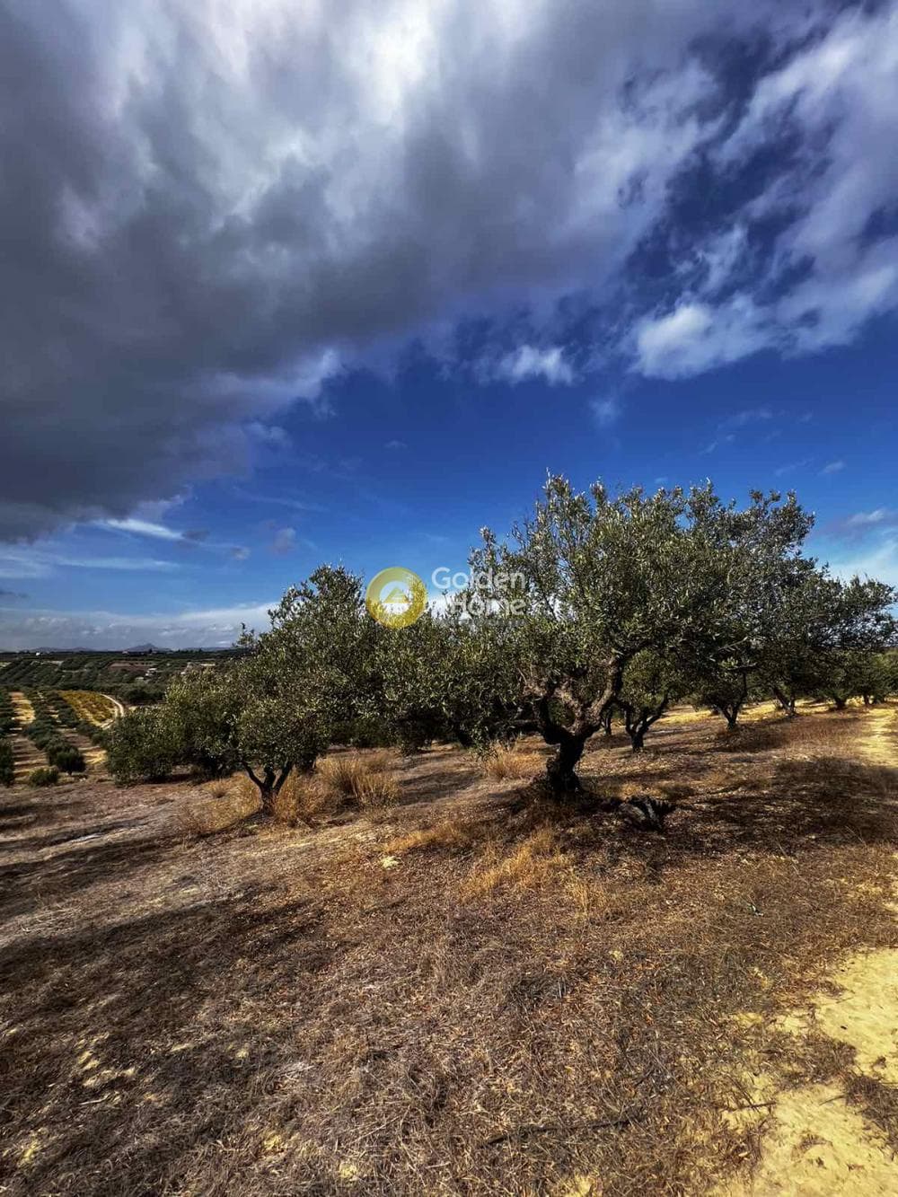 Parcel in Epano Vatheia, Episkopi — Photo 4 of 25
