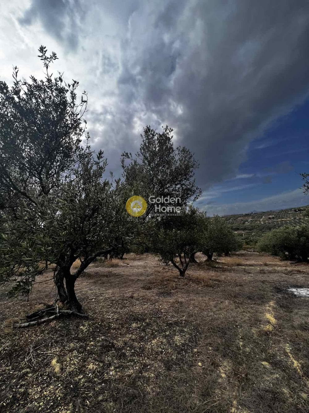Parcel in Epano Vatheia, Episkopi — Photo 11 of 25