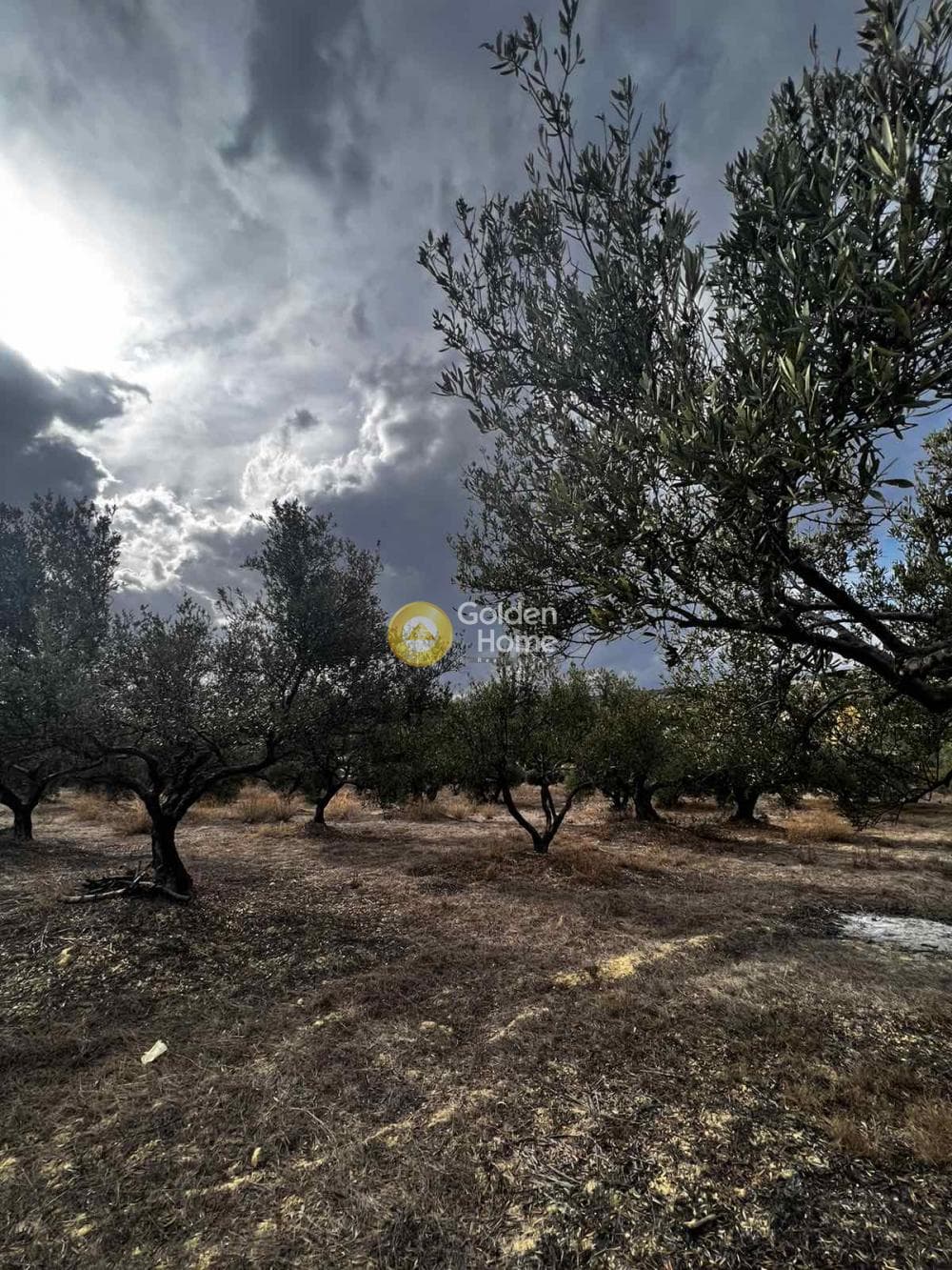 Parcel in Epano Vatheia, Episkopi — Photo 10 of 25