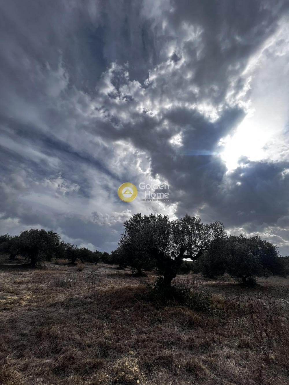 Parcel in Epano Vatheia, Episkopi — Photo 9 of 25