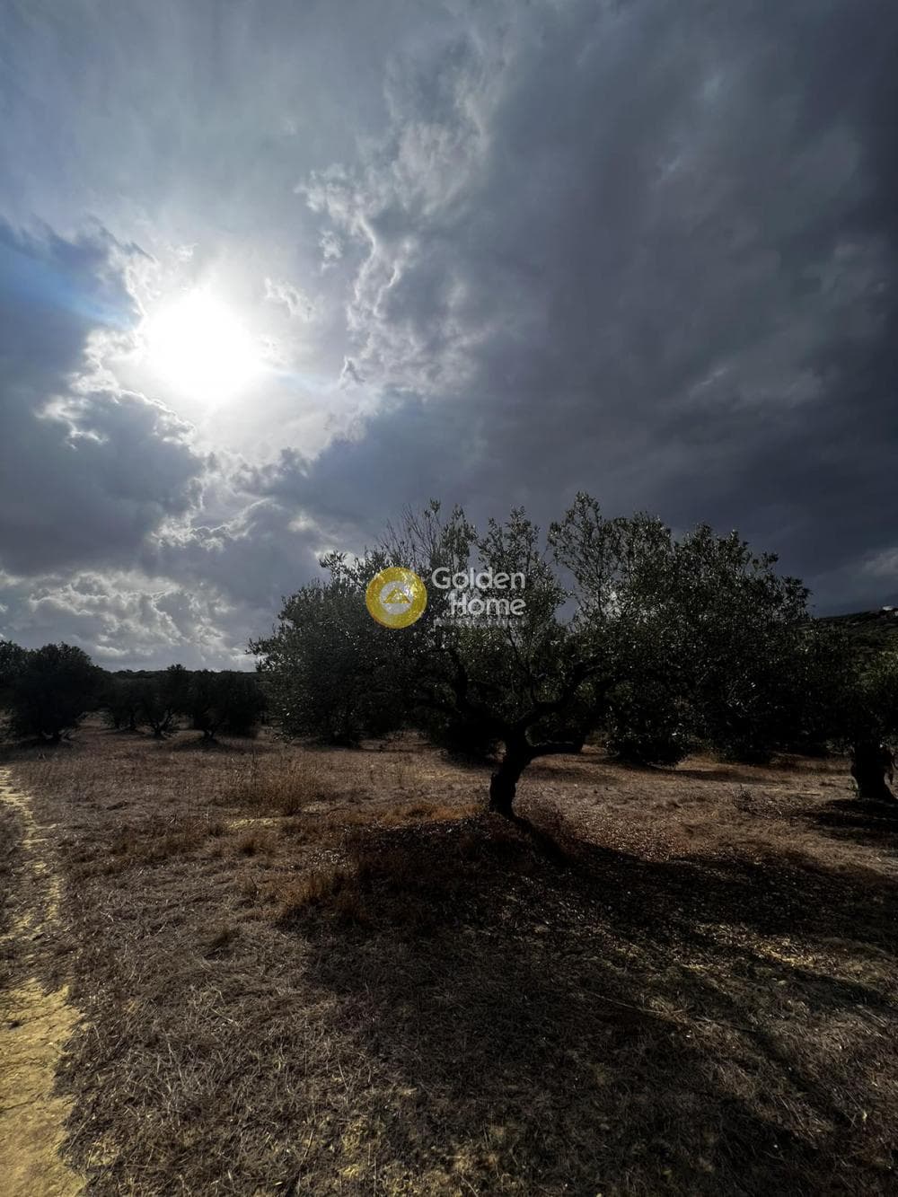 Parcel in Epano Vatheia, Episkopi — Photo 17 of 25