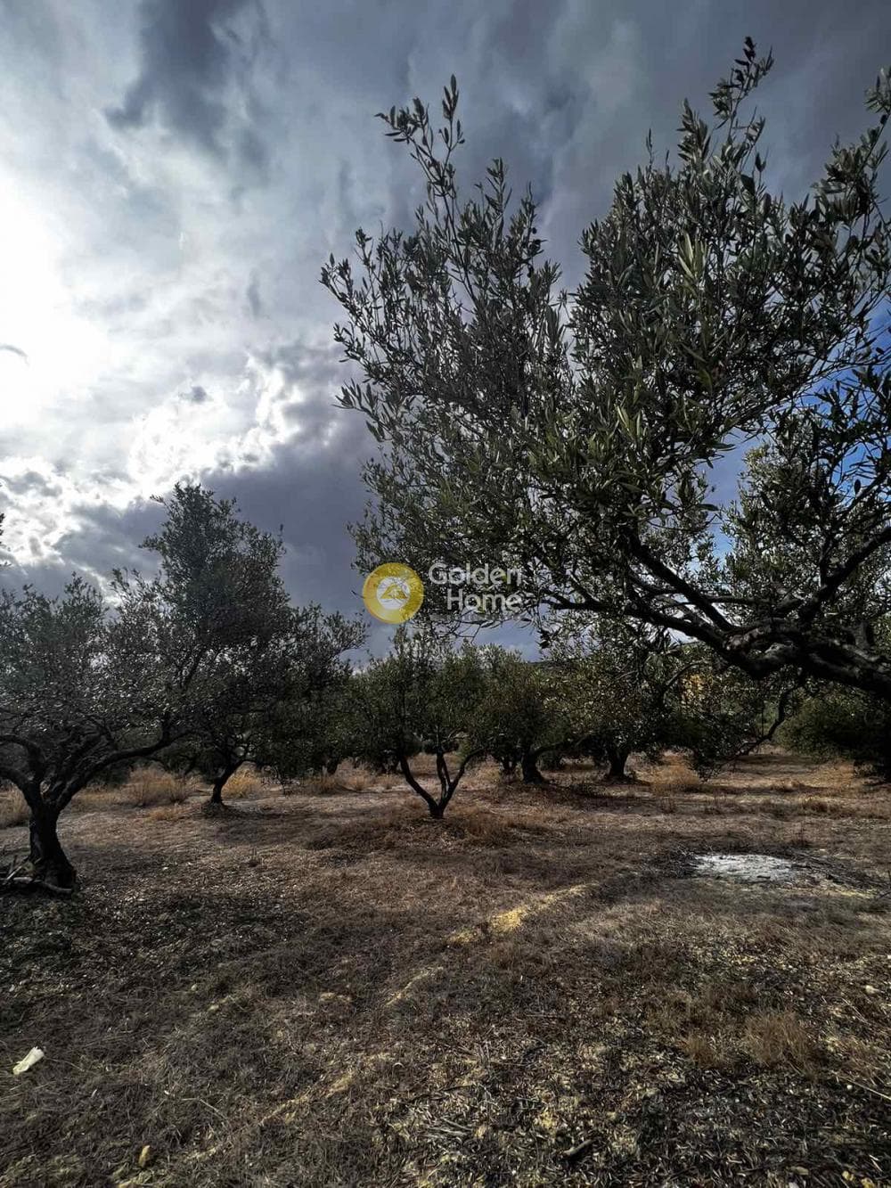 Parcel in Epano Vatheia, Episkopi — Photo 16 of 25