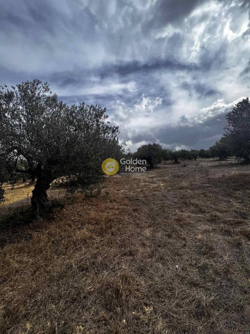 Parcel in Epano Vatheia, Episkopi — Photo 15 of 25