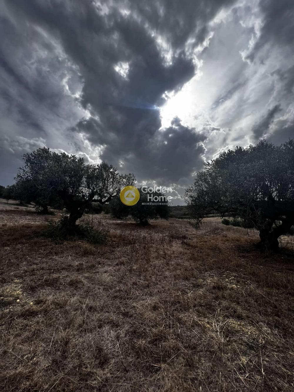 Parcel in Epano Vatheia, Episkopi — Photo 14 of 25