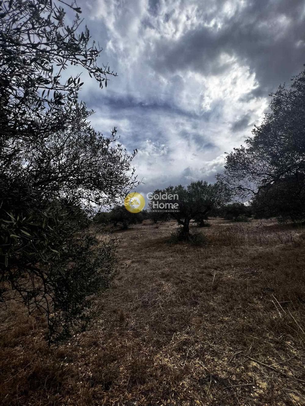 Parcel in Epano Vatheia, Episkopi — Photo 13 of 25