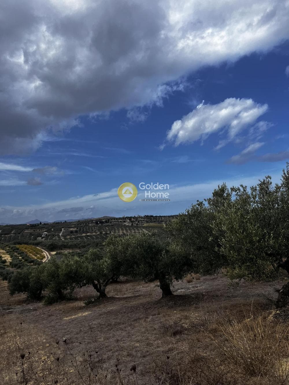 Parcel in Epano Vatheia, Episkopi — Photo 24 of 25