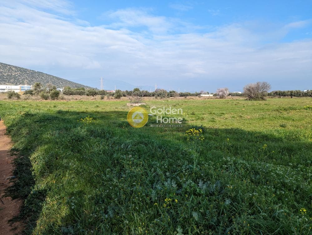 Parcel in Center, Markopoulo — Photo 2 of 4