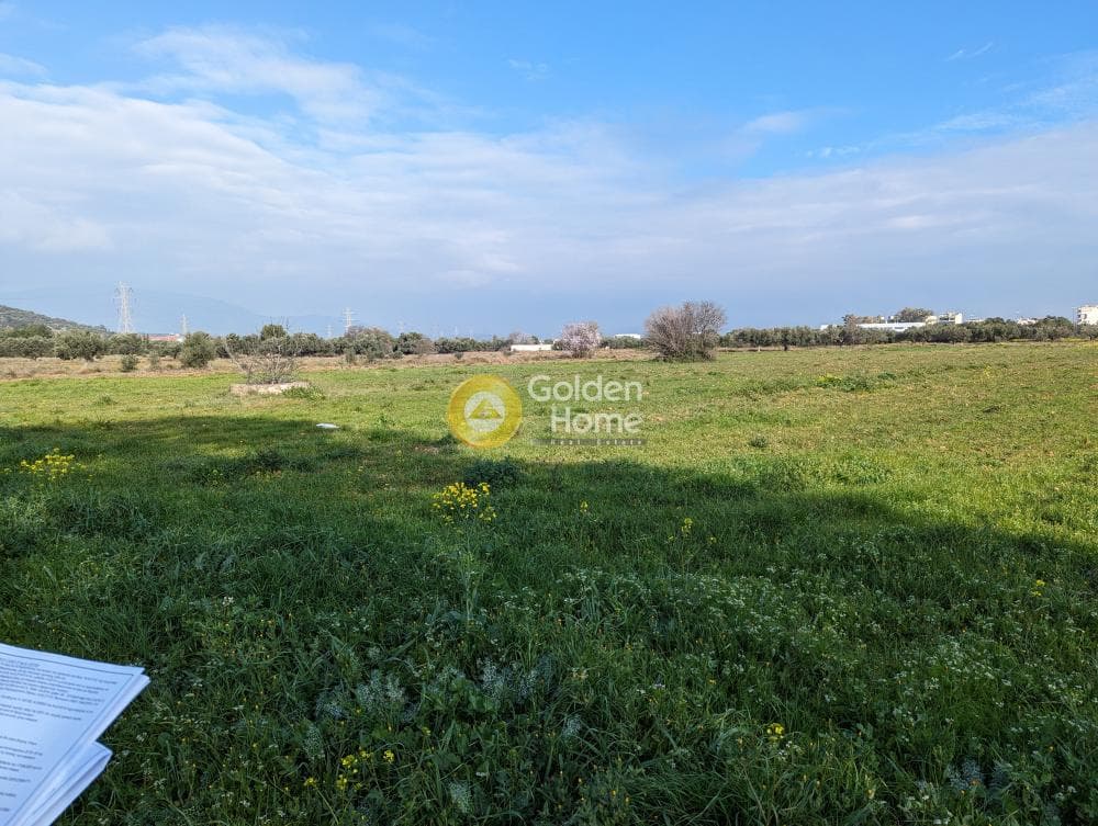 Parcel in Center, Markopoulo — Photo 3 of 4