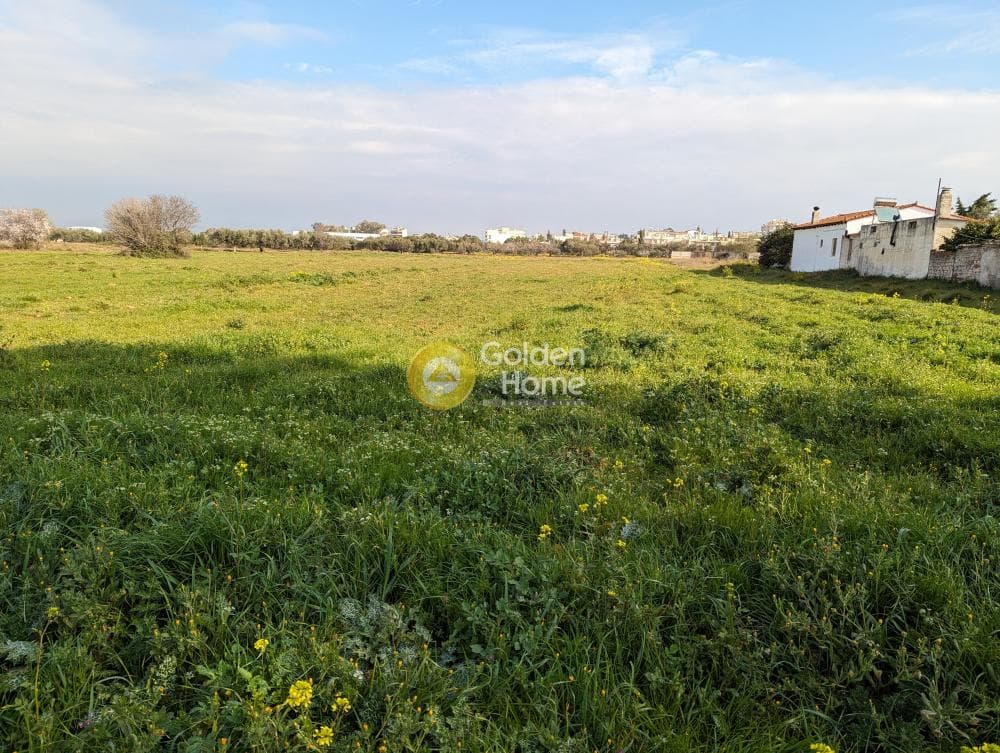 Parcel in Center, Markopoulo — Photo 4 of 4