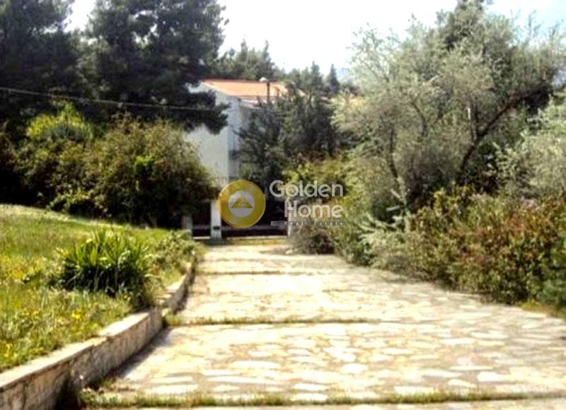 Building Plot in Kapitenia, Agios Stefanos — Photo 3 of 8