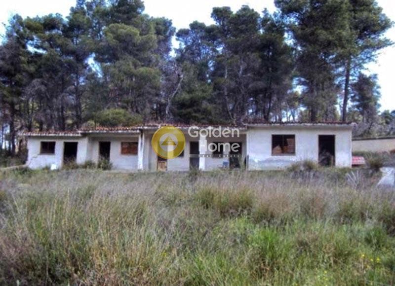 Building Plot in Kapitenia, Agios Stefanos — Photo 4 of 8