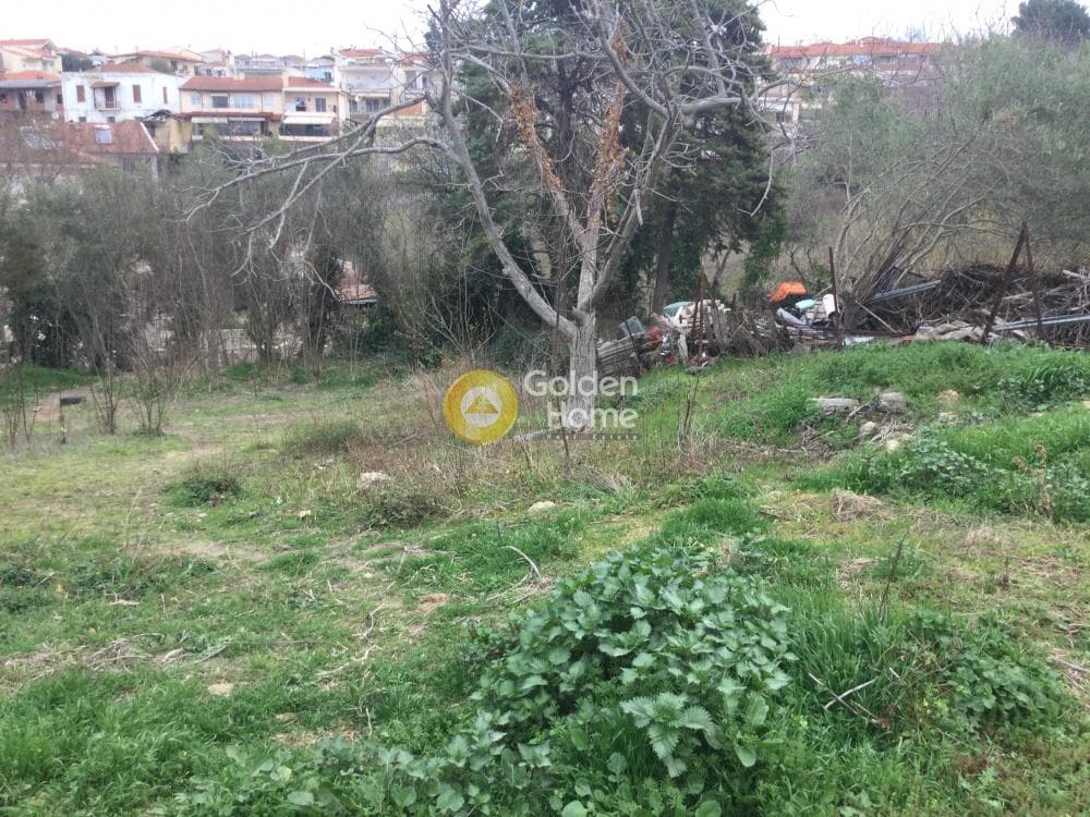 House in Trilofo, Mikra — Photo 4 of 15