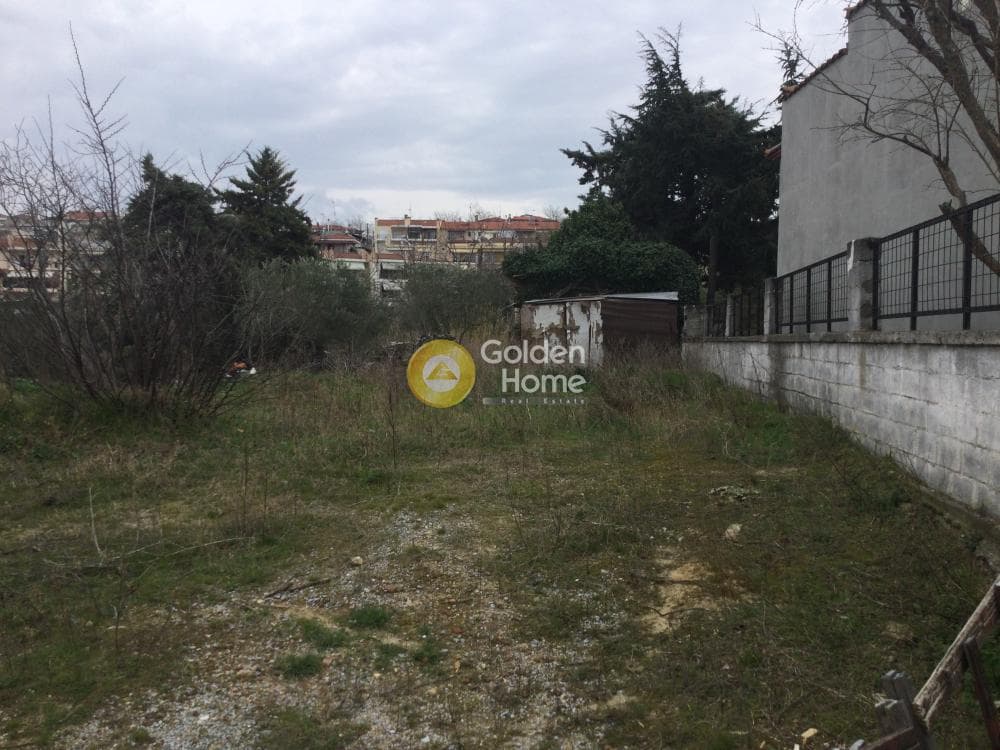 House in Trilofo, Mikra — Photo 10 of 15