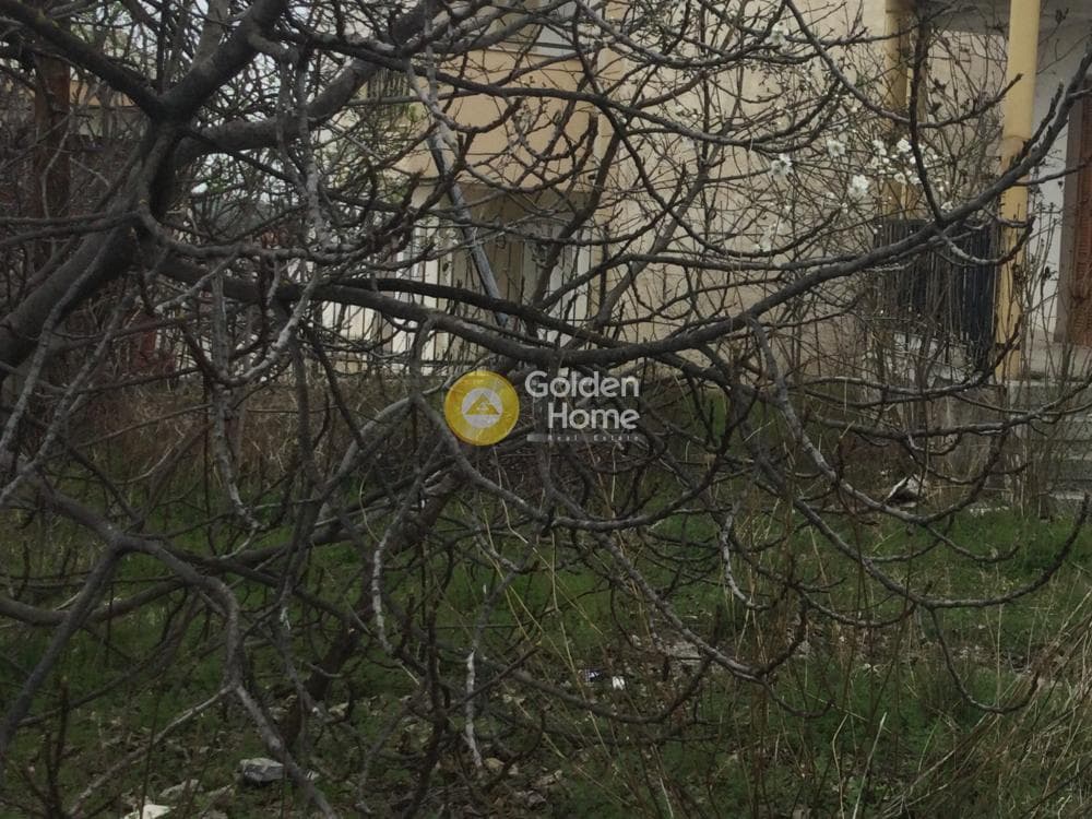 House in Trilofo, Mikra — Photo 13 of 15