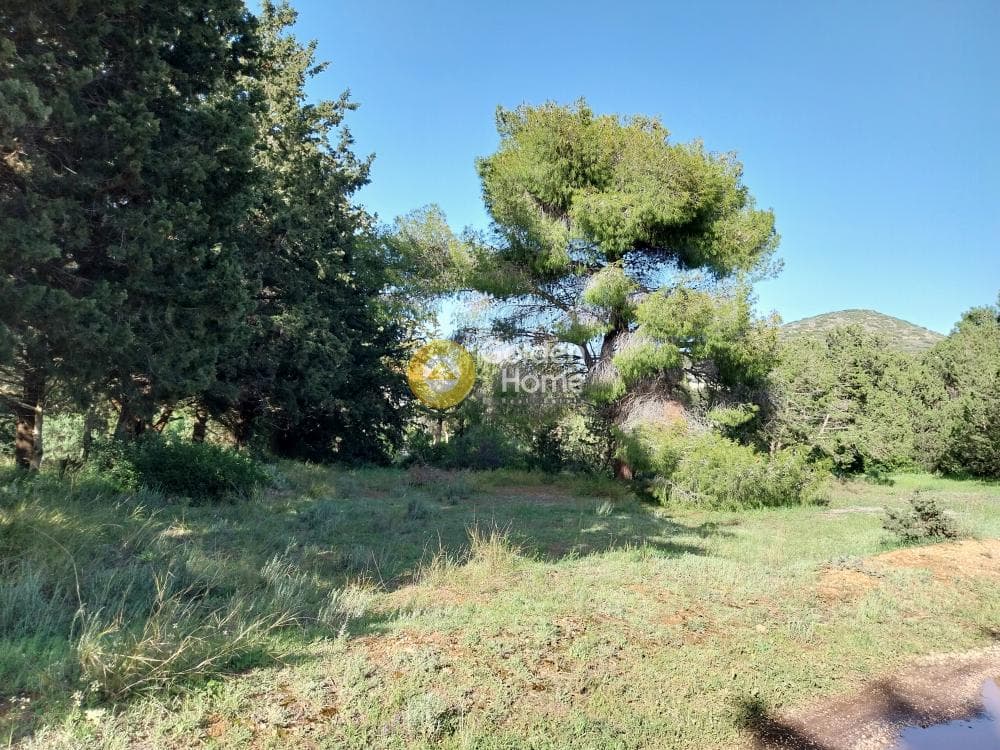 Building Plot in ATE, Anavissos — Photo 1 of 7