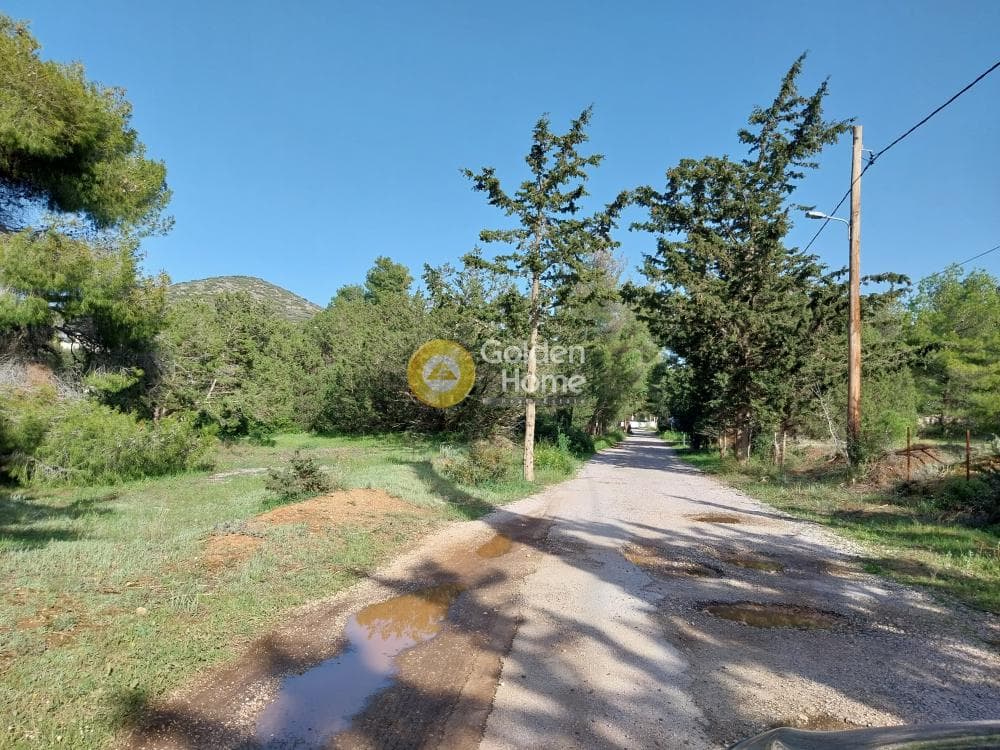 Building Plot in ATE, Anavissos — Photo 3 of 7