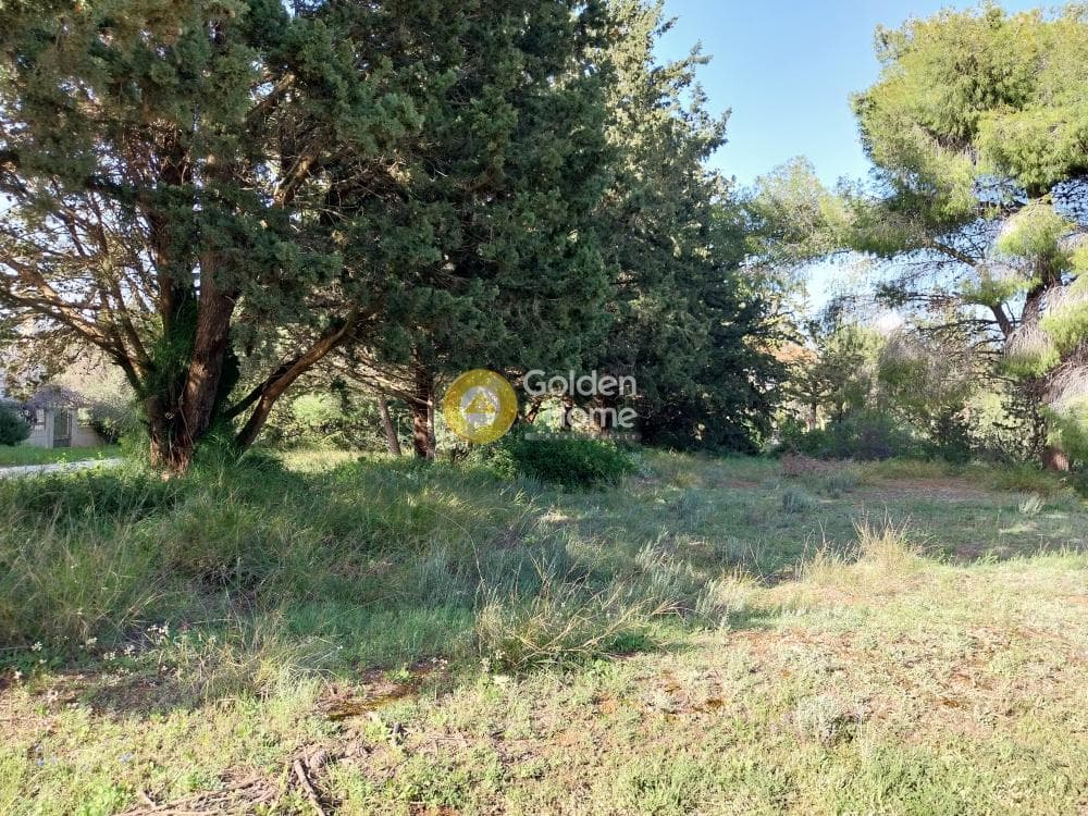 Building Plot in ATE, Anavissos — Photo 2 of 7