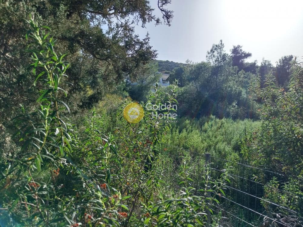 Building Plot in ATE, Anavissos — Photo 5 of 7
